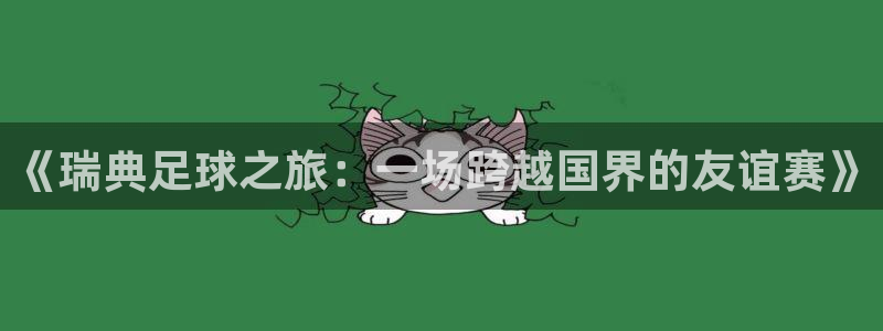 vsport体育阿根廷：《瑞典足球之旅：一场跨越国界的友谊赛