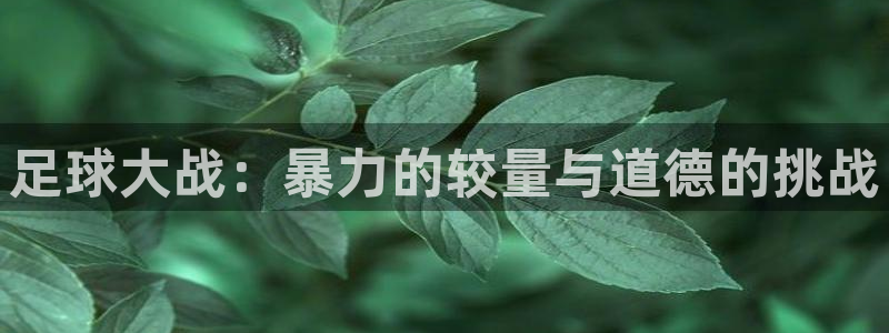  vsport体育在线官网：足球大战：暴力的较量与道德的挑战