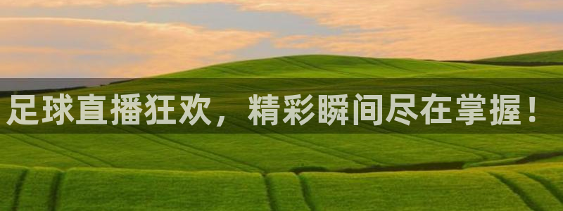vsport体育在线官网阿根廷：足球直播狂欢，精彩瞬间尽在掌