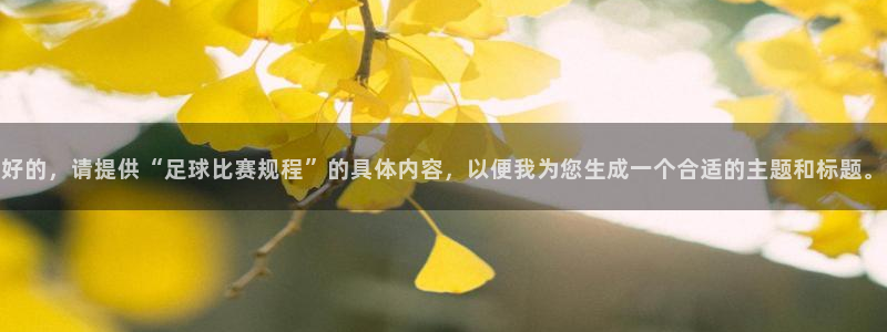  哈哈体育体育平台-胜利因您更精彩：好的，请提供“足球比赛规程