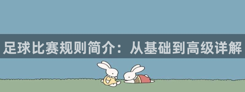 vsport体育在线官网阿根廷：足球比赛规则简介：从基础到高